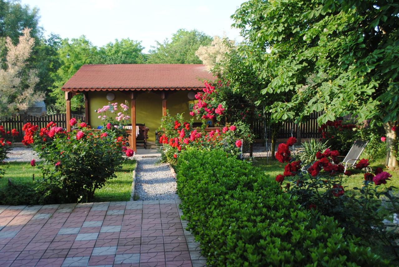 Vila Delta Travel - Mila 23 Mila Douazeci si Trei Exterior foto